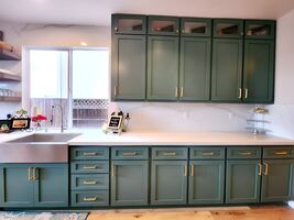 Green shaker doors